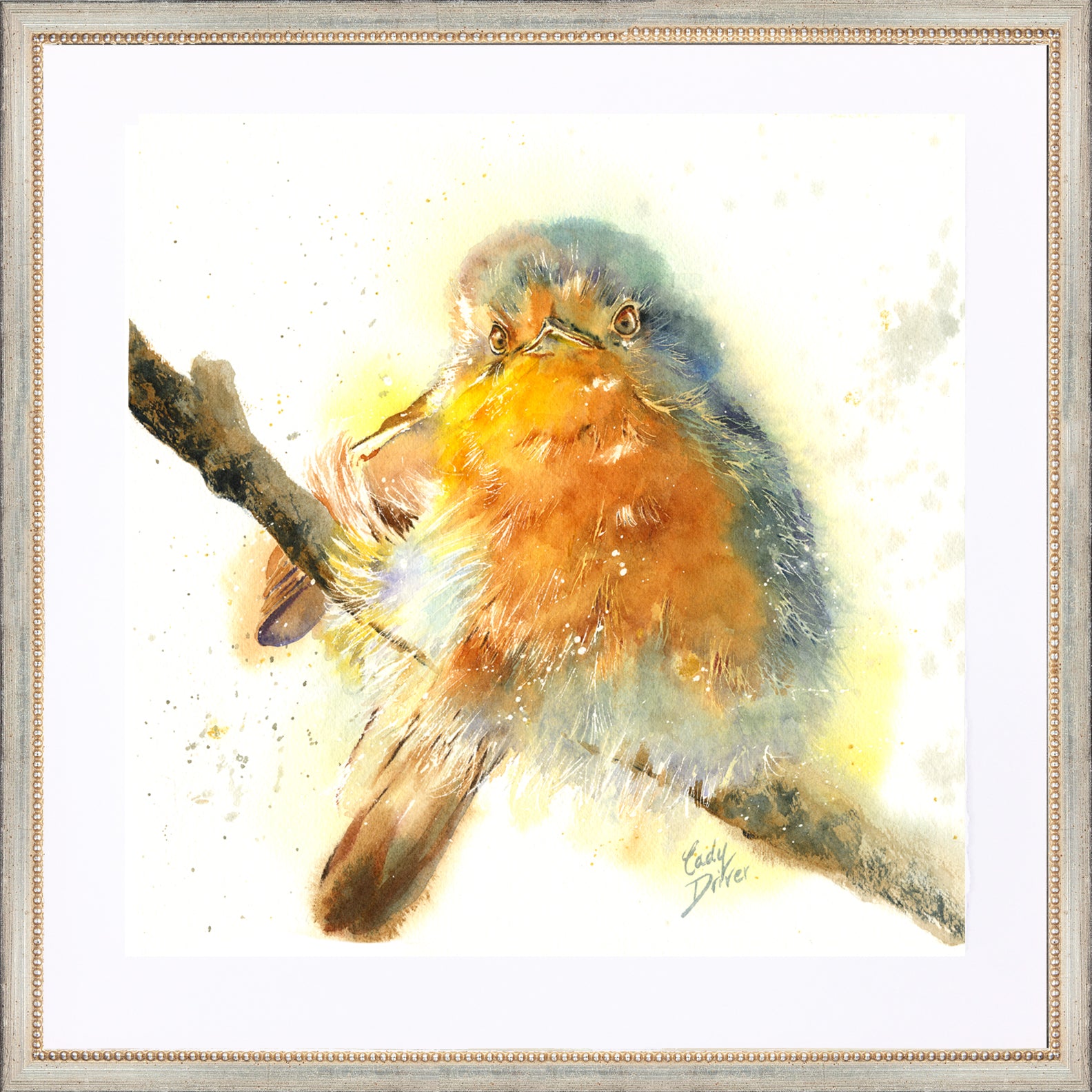 Robin Framed Giclee Print cheapest