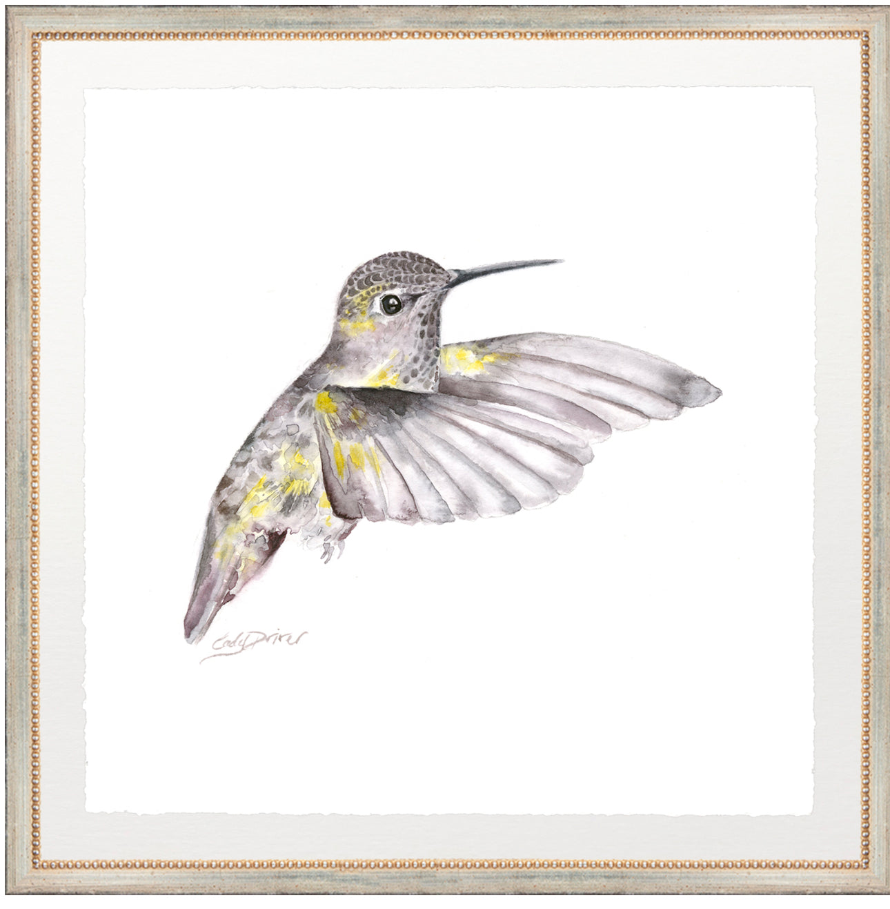 framed giclée flying hummingbird