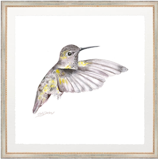 framed giclée flying hummingbird