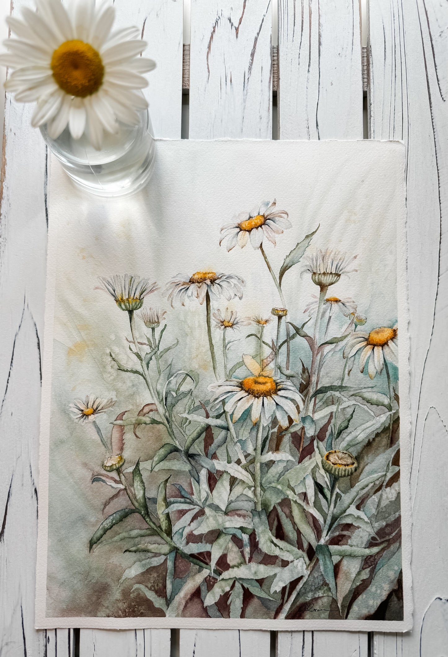 Flat lay moody daisy painting by Cady