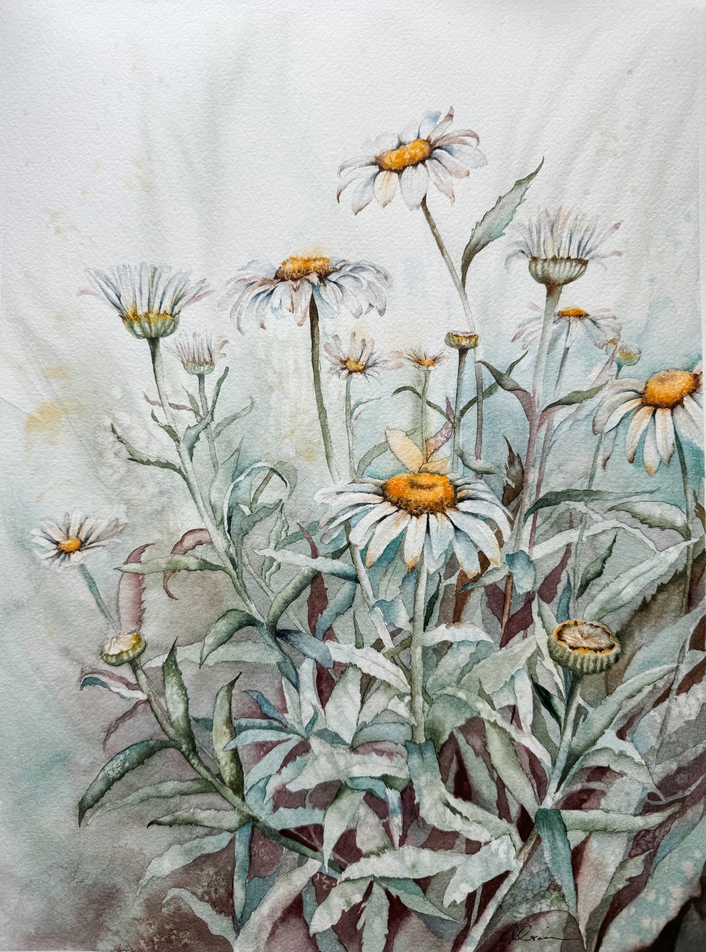 Moody Daisy Watercolor by Cady